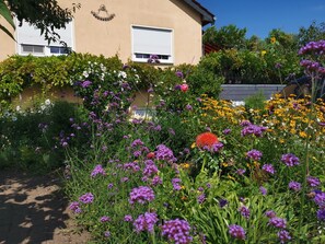 Photo non classée, 2 sur 29, bouton