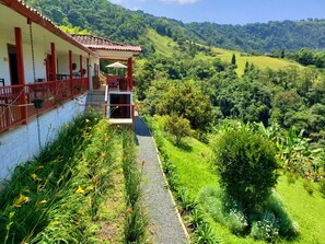 Vue sur la campagne depuis l’hébergement