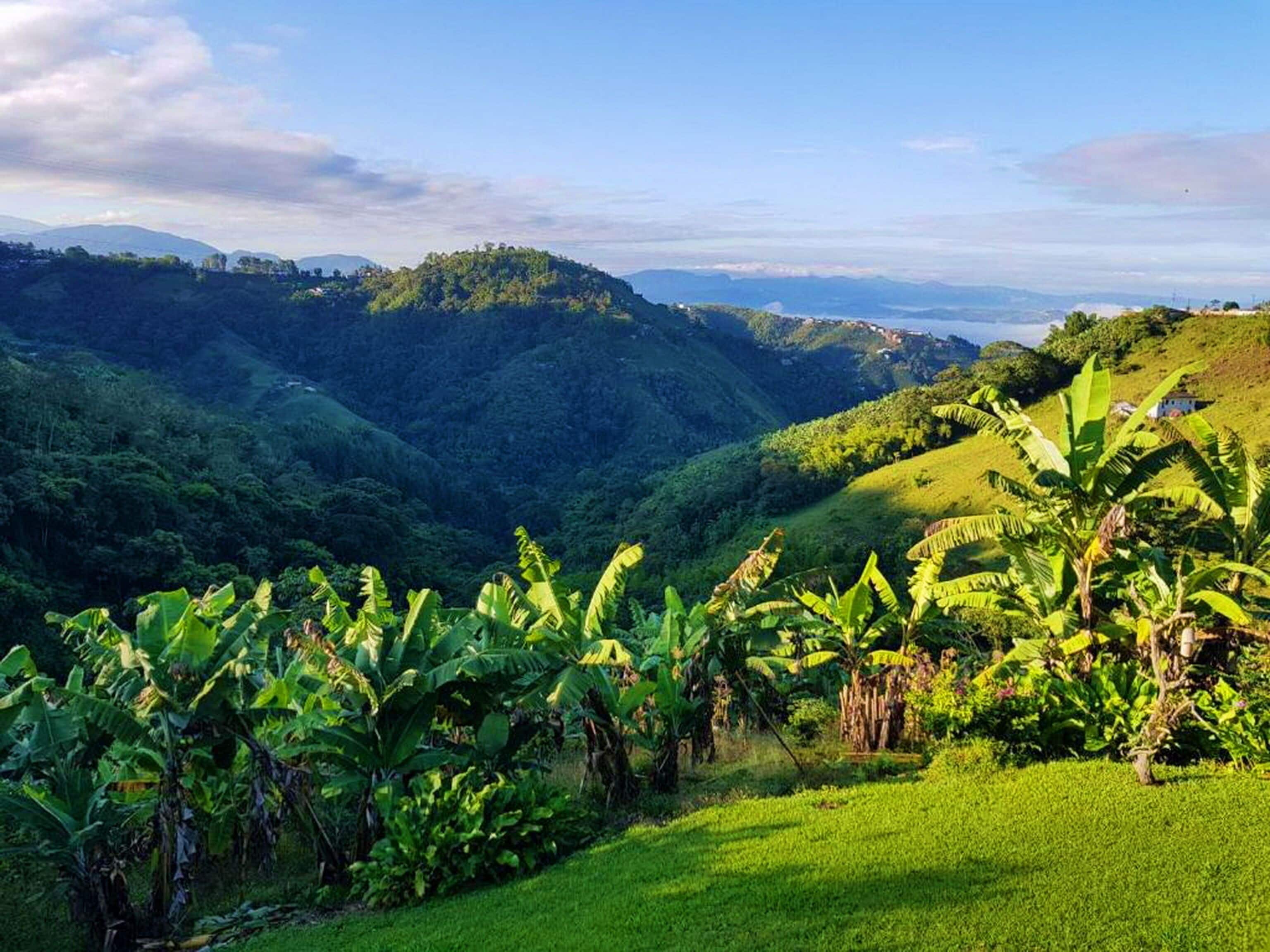 Foto - Lodge Paraíso Verde