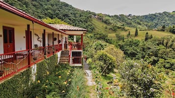 Vue sur la campagne depuis lâhĂ©bergement