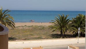 Une plage avec des palmiers, une route et un ciel dégagé.