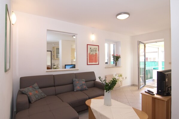 Télévision, cheminée, livres, chaîne hi-fi