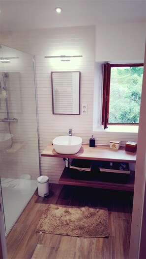 Shower, hair dryer, towels