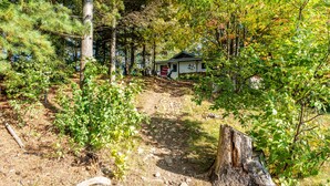 A cabin surrounded by dense forest with a dirt path leading to it. - Republic Island -Summer Paradise – Your Private Island Awaits! (Republic)