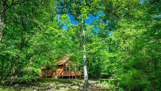 Una cabaña rústica rodeada de un bosque denso, con un arroyo cercano.