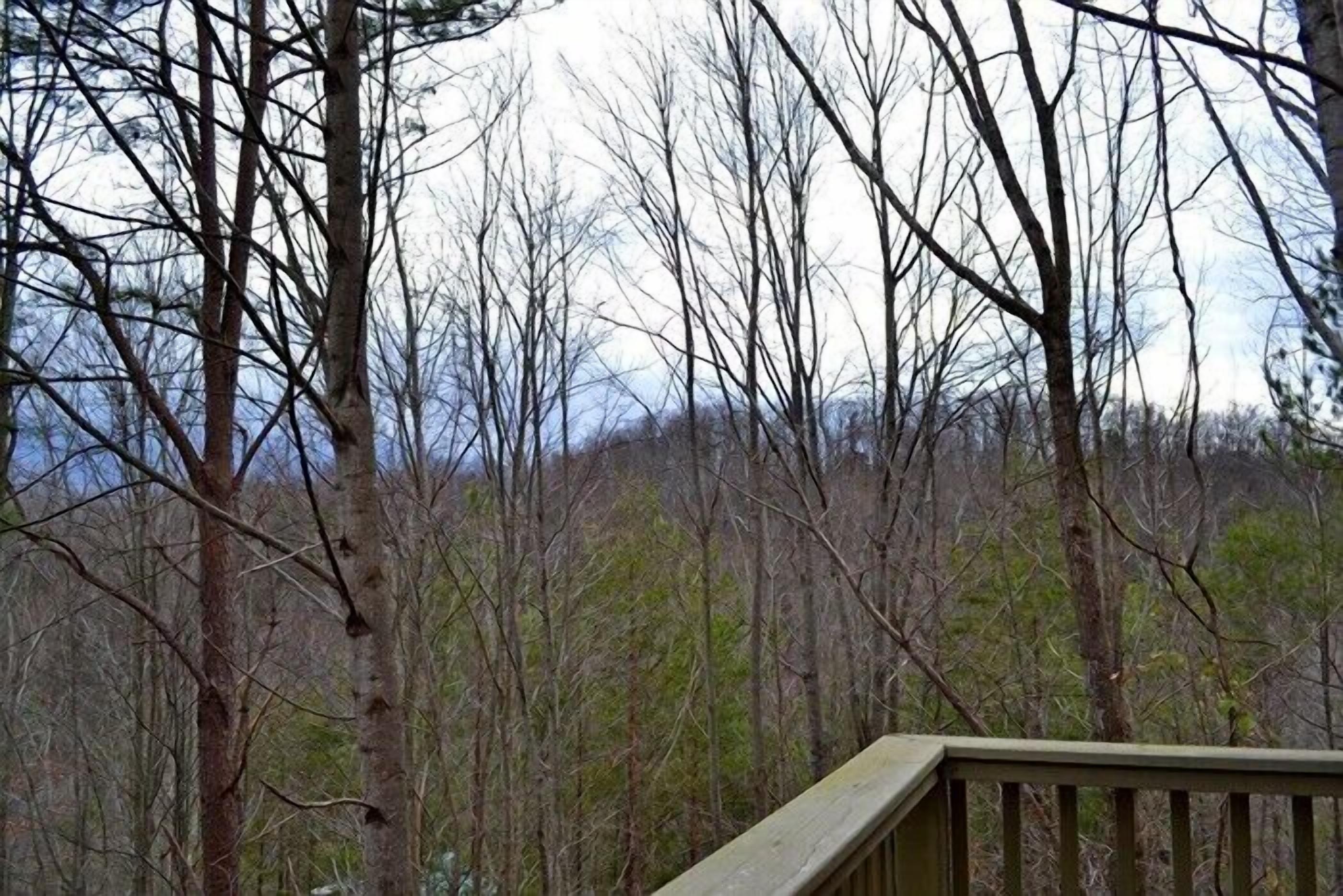 A forested area with a wooden deck.