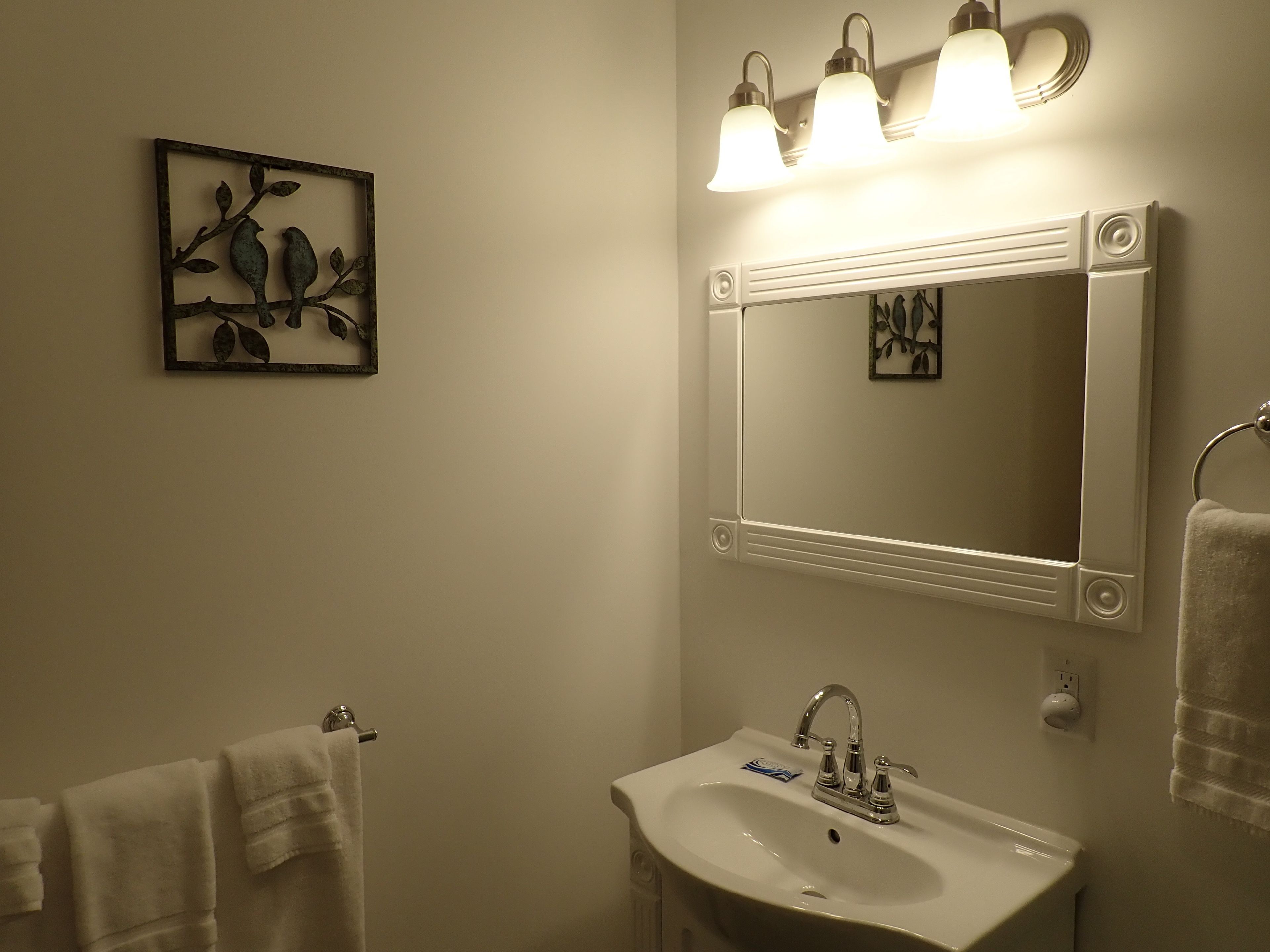A bathroom with a white sink, a mirror with lights, and a wall-mounted artwork of birds.