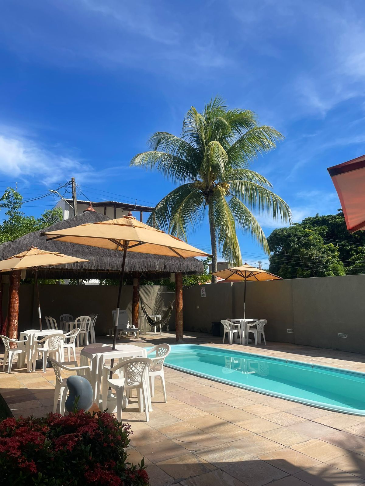 A poolside area with white plastic chairs and tables, a thatched-roof structure, and a palm tree.