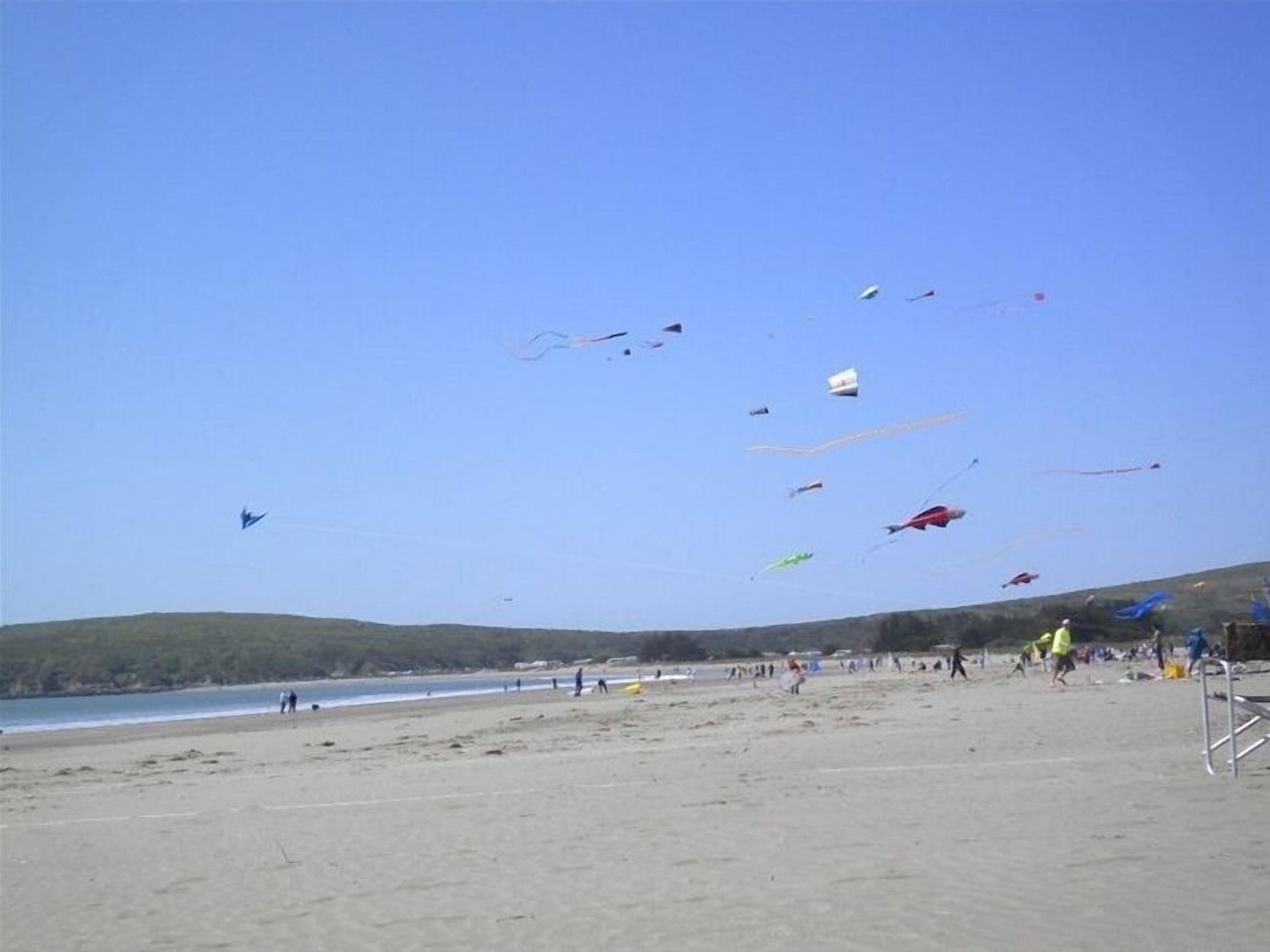 Chaises longues, serviettes de plage