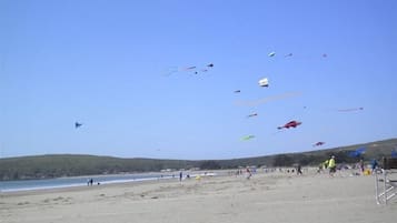 Sun loungers, beach towels