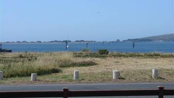 A coastal road with a clear view of the sea, a grassy area, and a fence.