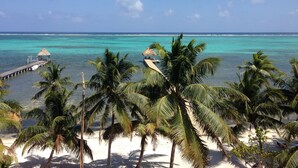 A beach with palm trees, a pier, and clear turquoise water. - An unBELIZEable home...Barefoot beachfront luxury! (San Pedro)