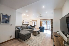 Smart TV, fireplace, DVD player, books