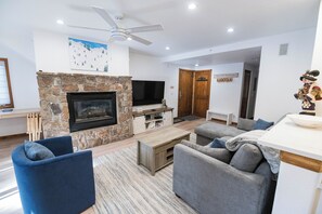 Smart TV, fireplace, DVD player, books