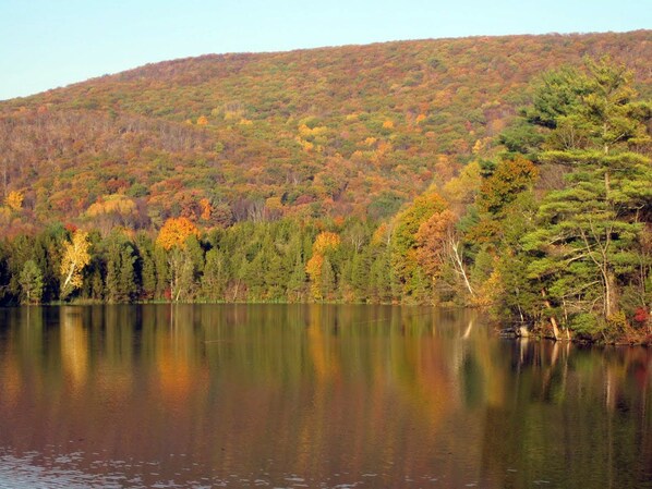 A calm lake surrounded by a forested hillside.