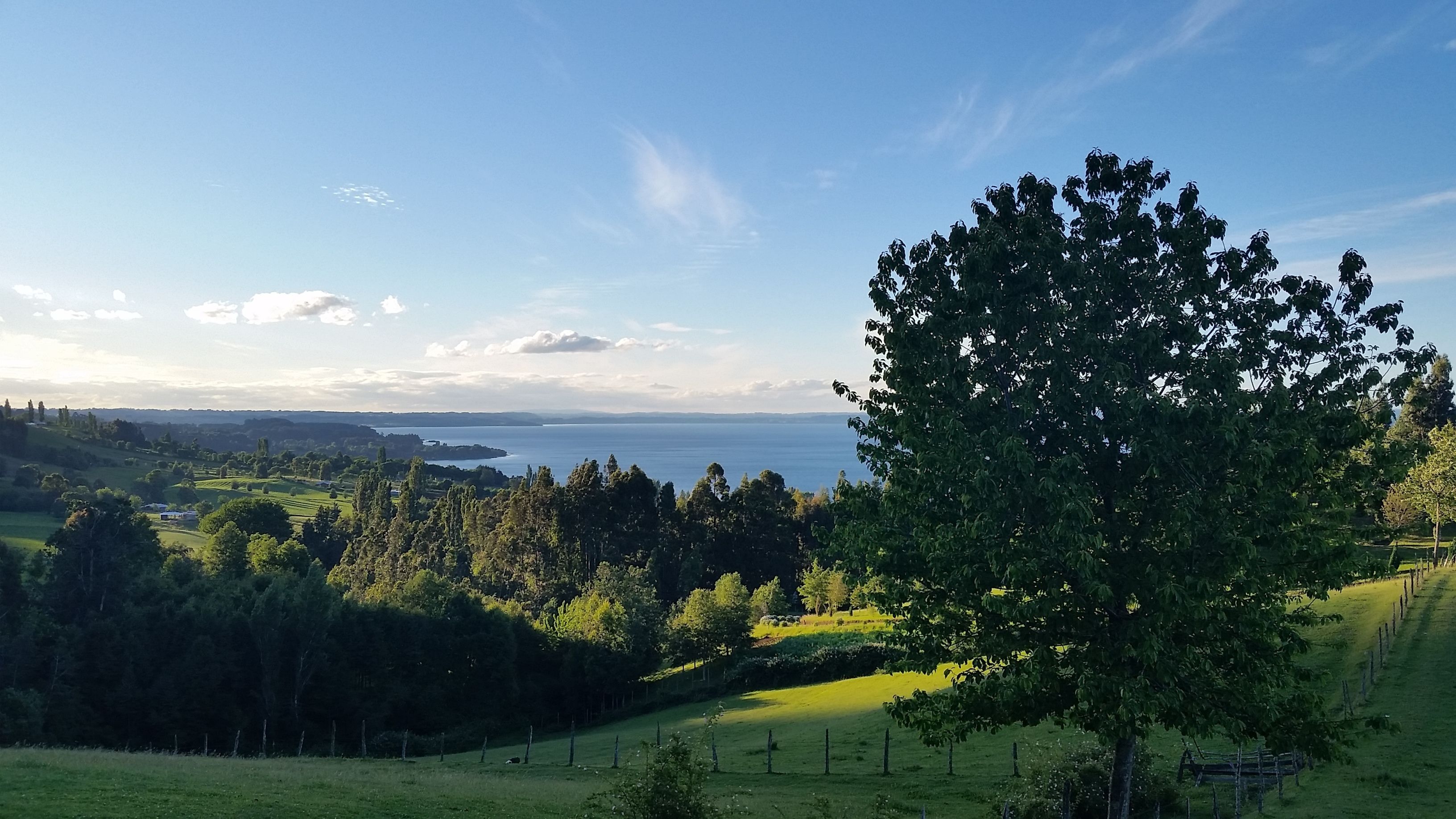 Vista desde la propiedad