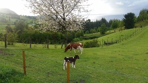 Blick von der Unterkunft