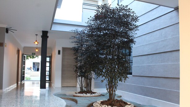 A modern hotel corridor with a polished terrazzo floor, a skylight, and a row of potted trees. - Hotel Poma - Rosa (Medellín)