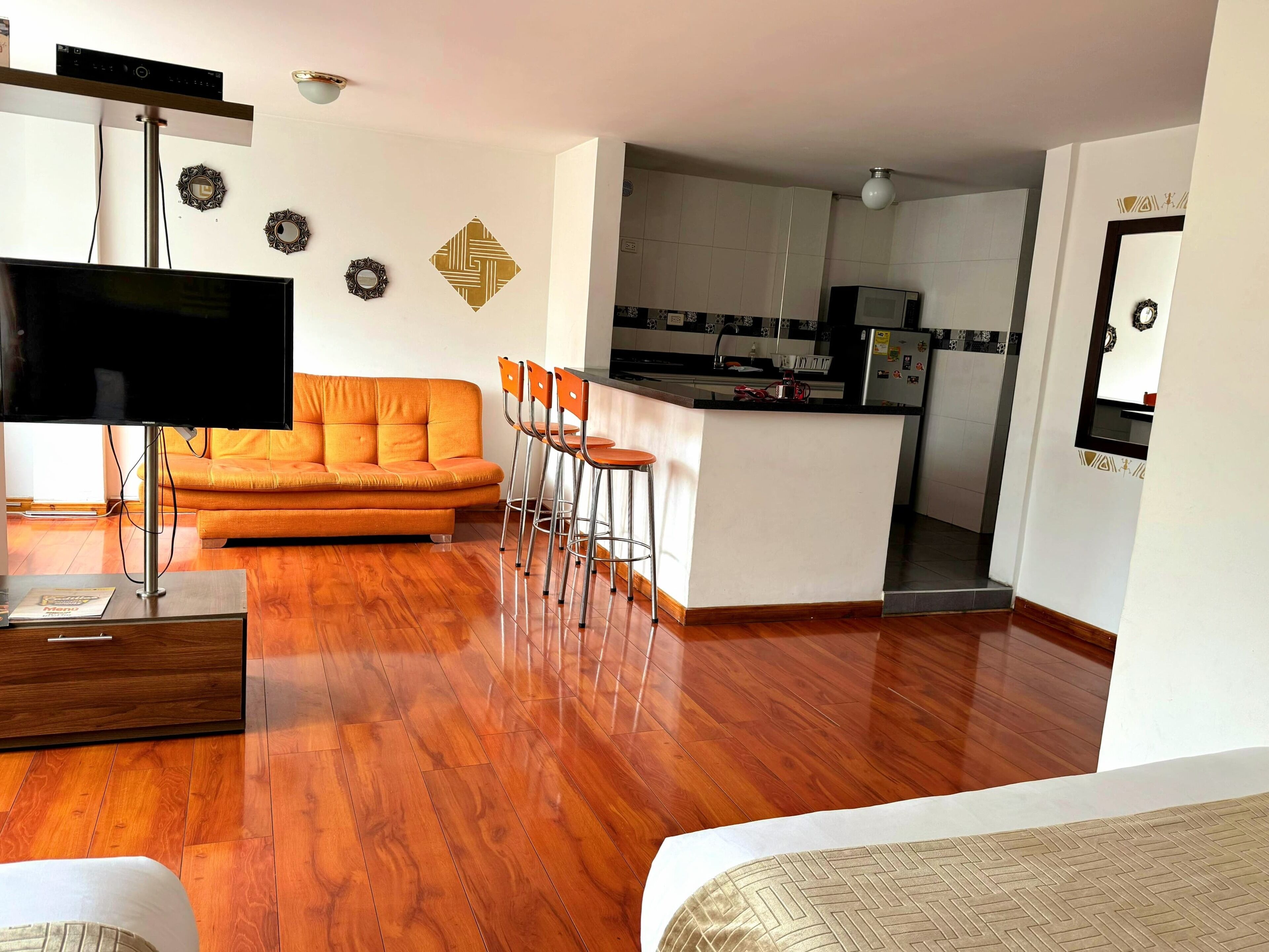 Aparta Estudio | Living area | 36-inch flat-screen TV with cable channels, TV