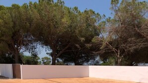 A paved outdoor area with a herringbone pattern, surrounded by trees and a white wall.