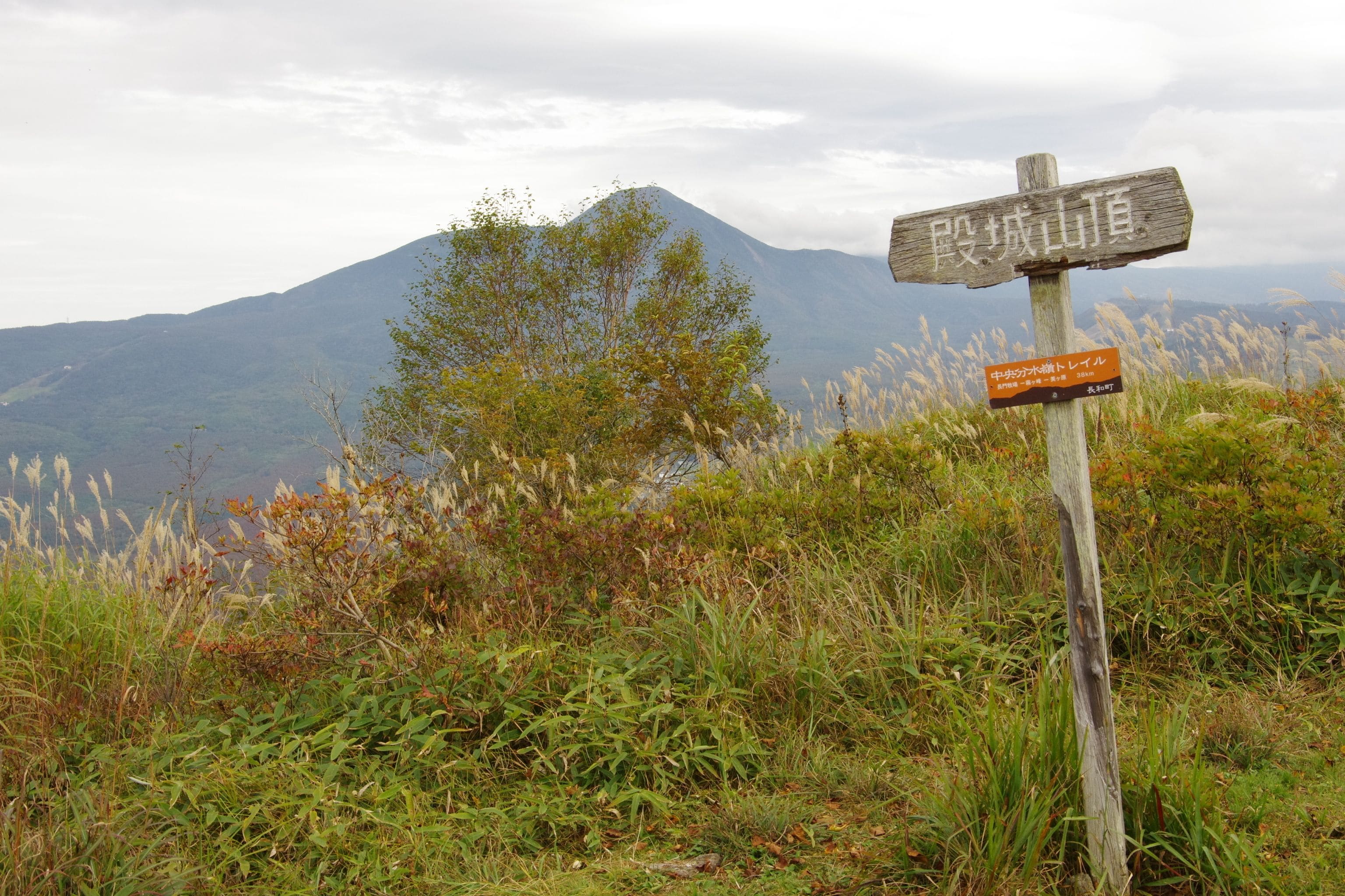 A wooden signpost with Japanese text, surrounded by natural vegetation and a mountain in the background.