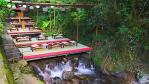 Un tranquilo espacio exterior para comer con mesas y bancos de madera, situado a orillas de un arroyo con cascada.