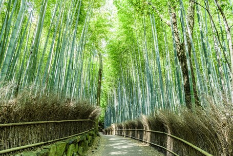 Mimaru Kyoto Shinmachi Sanjo - Image 32