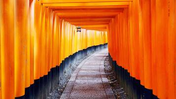 A corridor lined with orange torii gates.