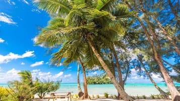 Nära stranden och strandhanddukar