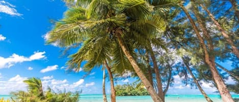 Beach nearby, beach towels