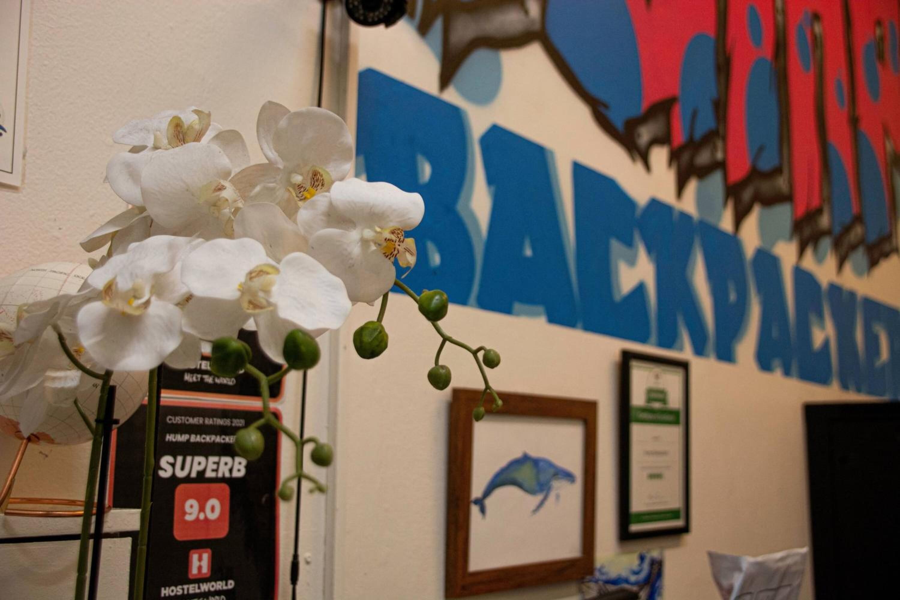 Photo - Mad Monkey East Side