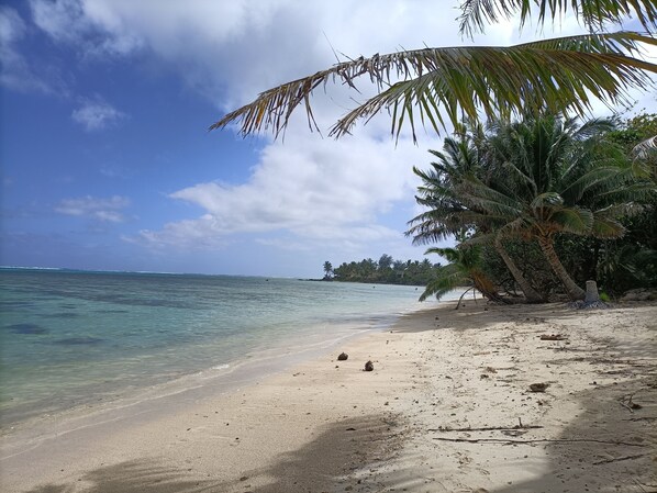 Ubicación cercana a la playa, arena blanca, tumbonas y sombrillas