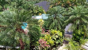 Ein üppiger Garten mit verschiedenen tropischen Pflanzen und einem Pool, umgeben von einem Haus mit grauem Dach.