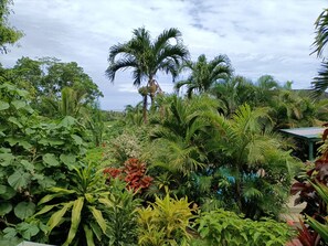 Terrace/patio - Muri Retreat (Rarotonga)
