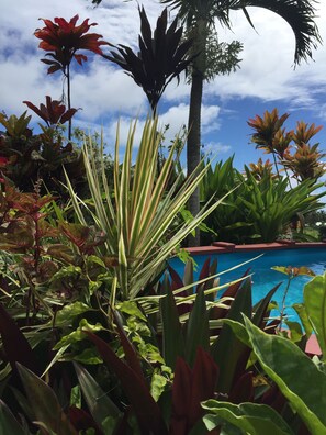 A garden with various plants and a pool in the background. - Muri Retreat (Rarotonga)