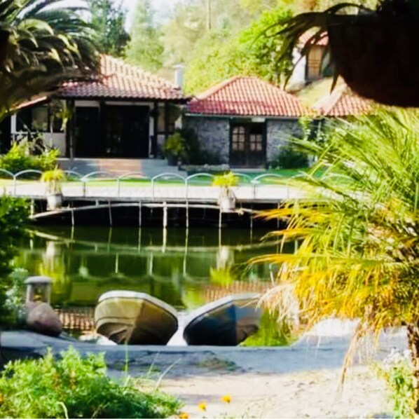 Lake view