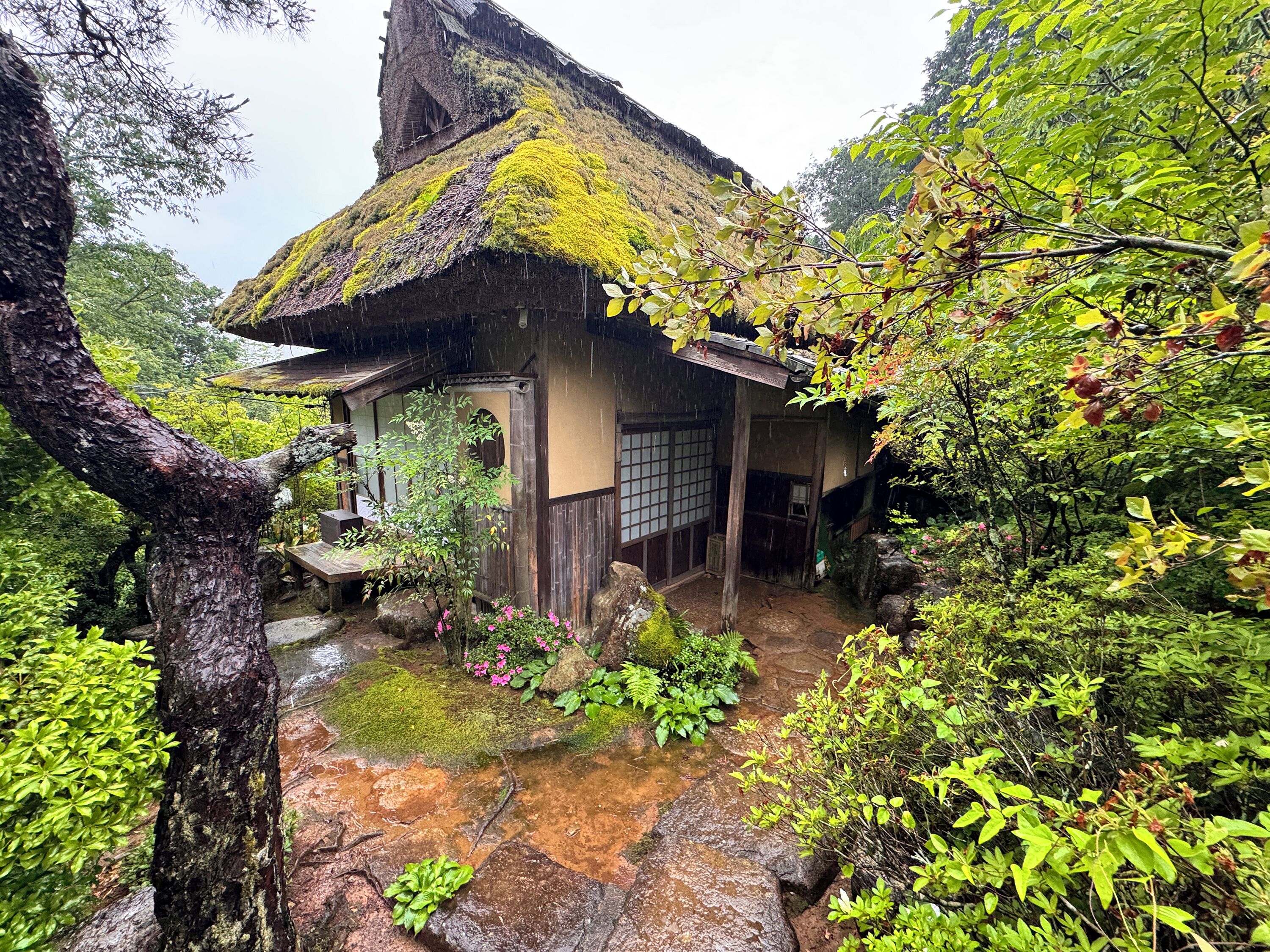A traditional Japanese house with a thatched roof, surrounded by lush greenery and a small stream.