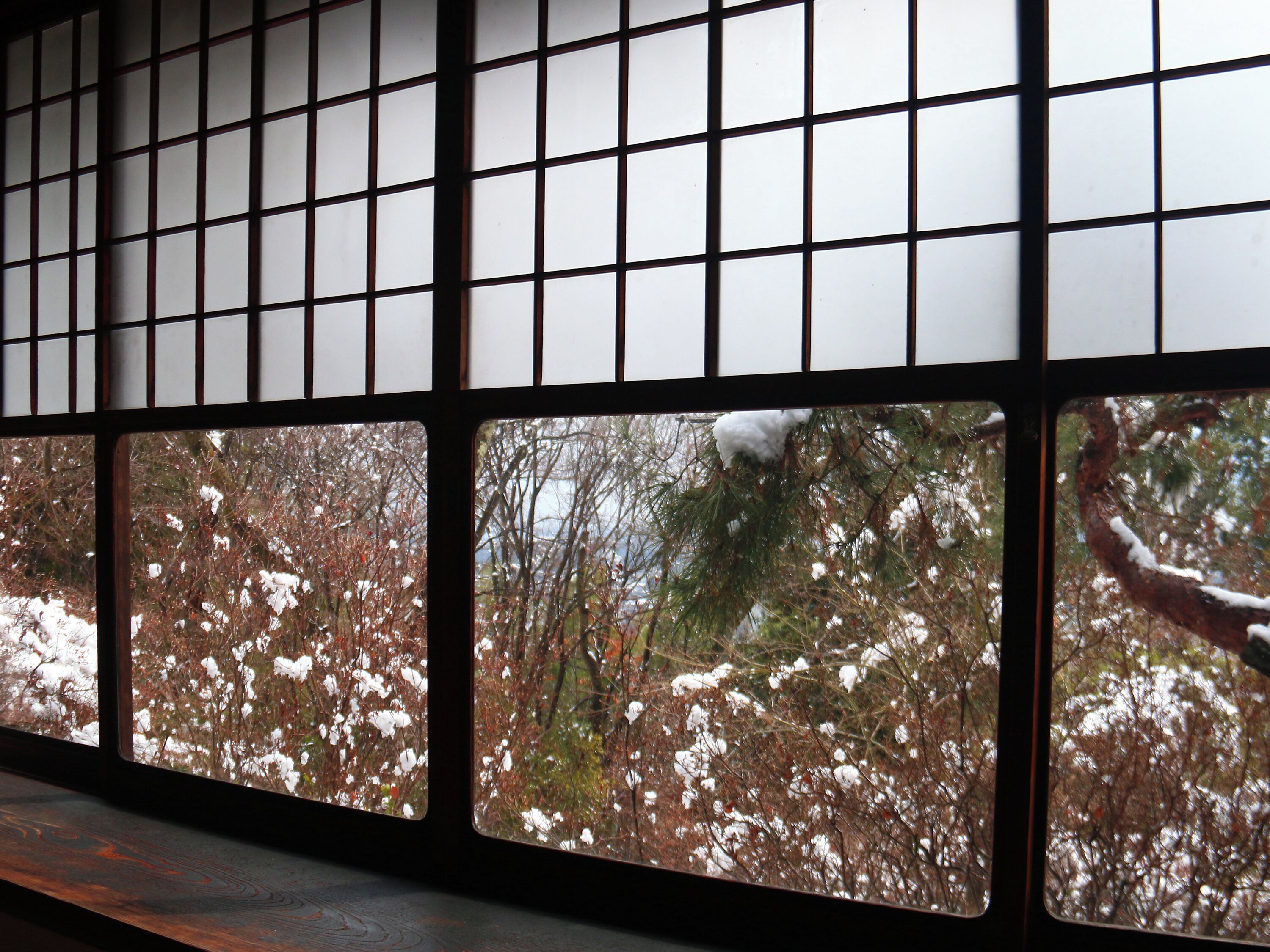 A view through a window with a grid pattern, displaying a snowy landscape with trees.
