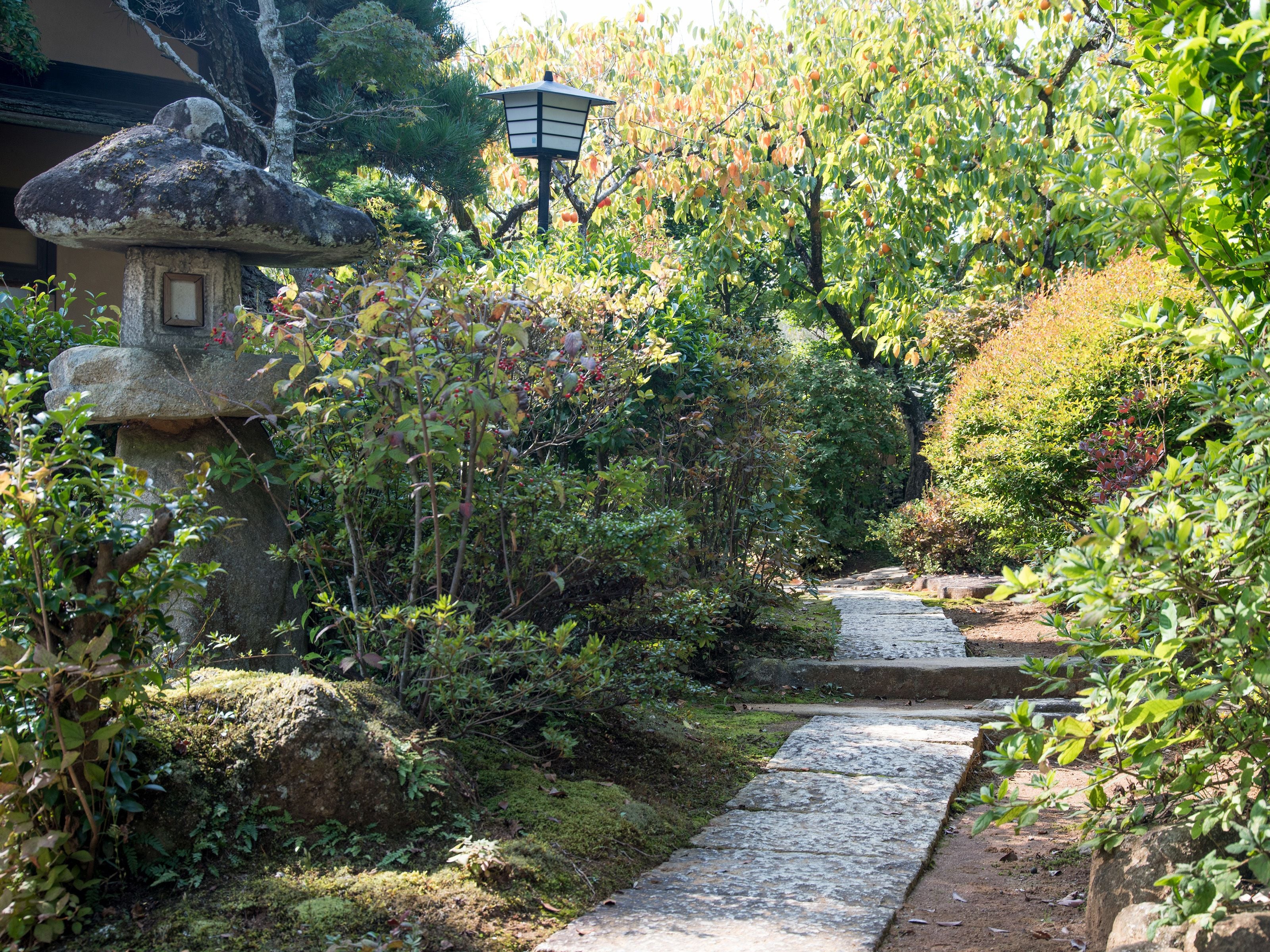 花園