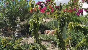 A garden with a stone stack, bougainvillea, and a building with a sign reading "Lugano Village." - Bouganville Studios (Rhodes)