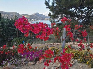 Property grounds - Bouganville Studios (Rhodes)