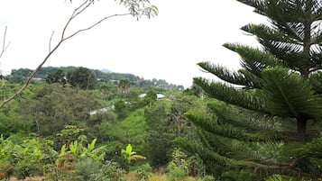 2 Bedrooms  | View from room