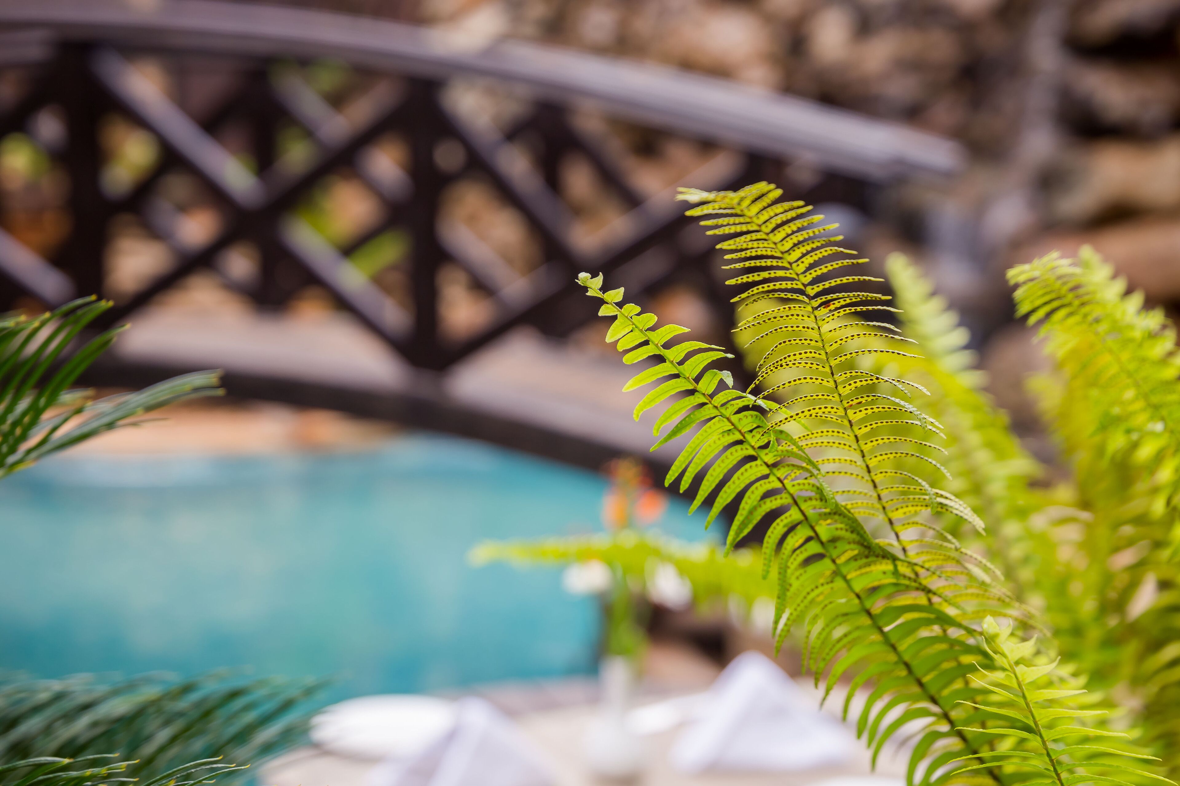 Foto - The Grand Gables