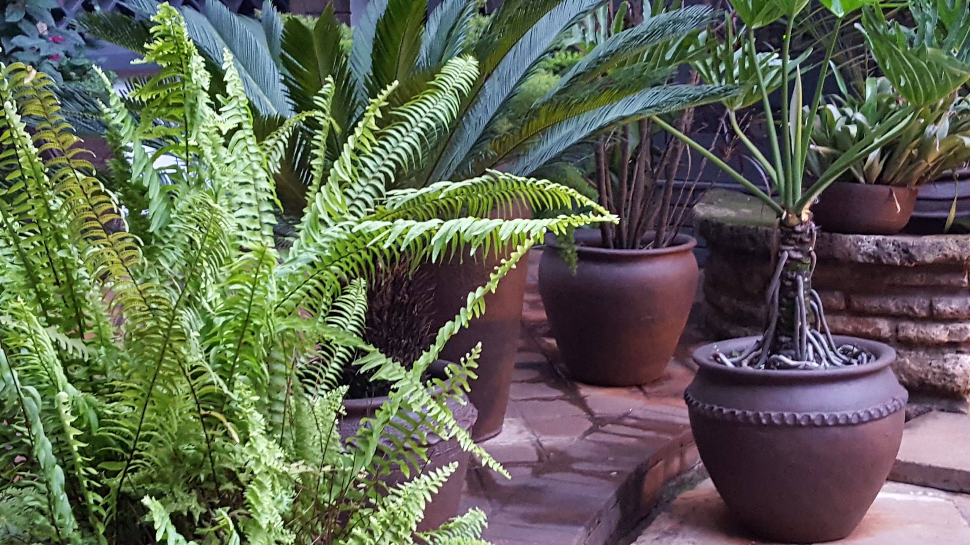 Foto - The Grand Gables