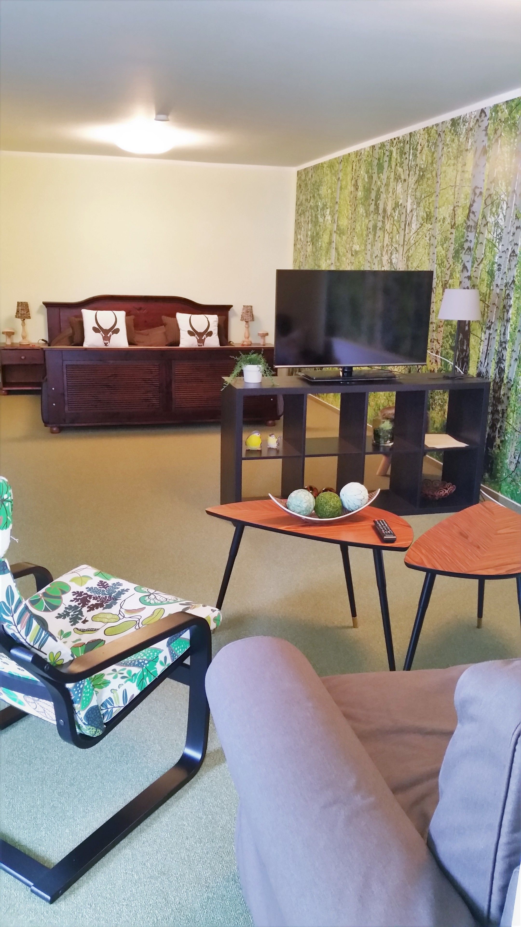 Apartment | Living area | Flat-screen TV