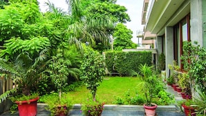 A lush garden with various plants and a small lawn in front of a building with large windows and a balcony.