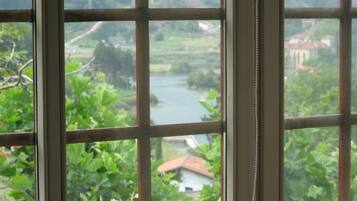A window with a view of a river and greenery.