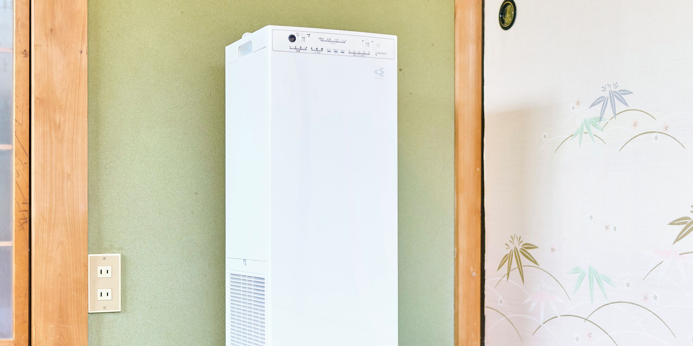 A white air conditioning unit mounted on a green wall next to a wooden door with a decorative panel.