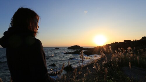 Minshuku Miyanourasou