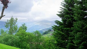A lush green landscape with a prominent tree and a hill. - L'Hotelet del Bac (Camprodon)